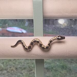 Elegant‎ Gold and Black Snake Ornament